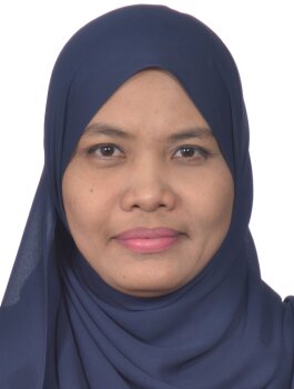 Ir. Norfariza Binti Zakaria